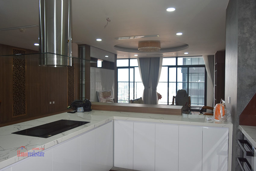 Discovery Complex: Luxurious President 0BRs apartment on high floor with city view 8