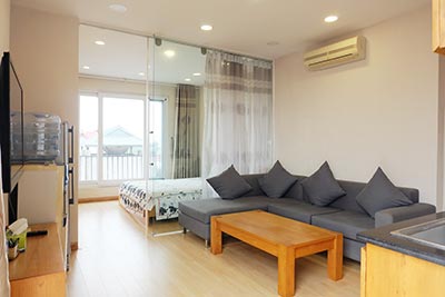 Elegant apartment on Dang Thai Mai for rent, one bed room