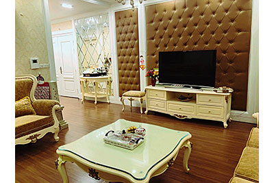 Luxurious apartment with Neo Classic style in D2, Giang Vo St